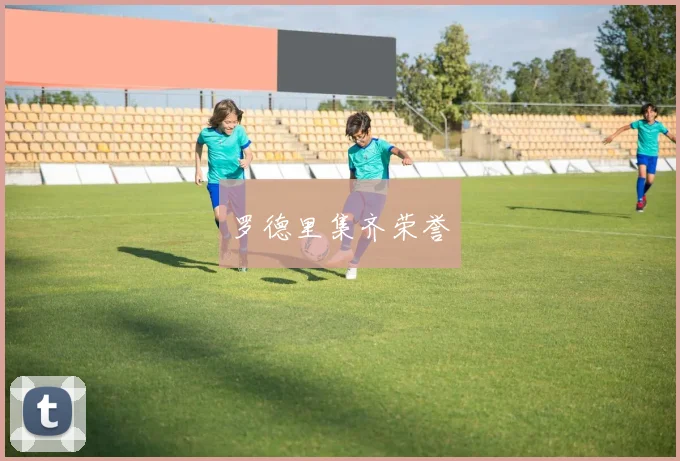 罗德里集齐荣誉